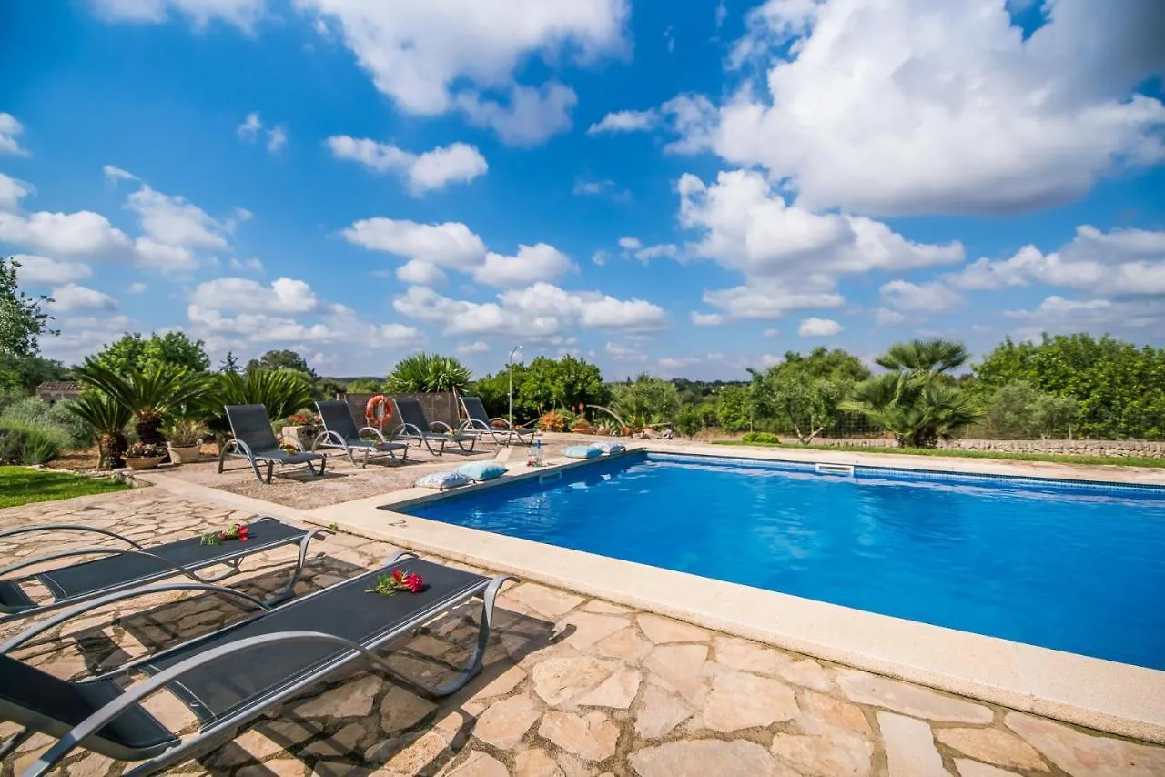 Ideal Property Mallorca - Sa Font Muro Country house